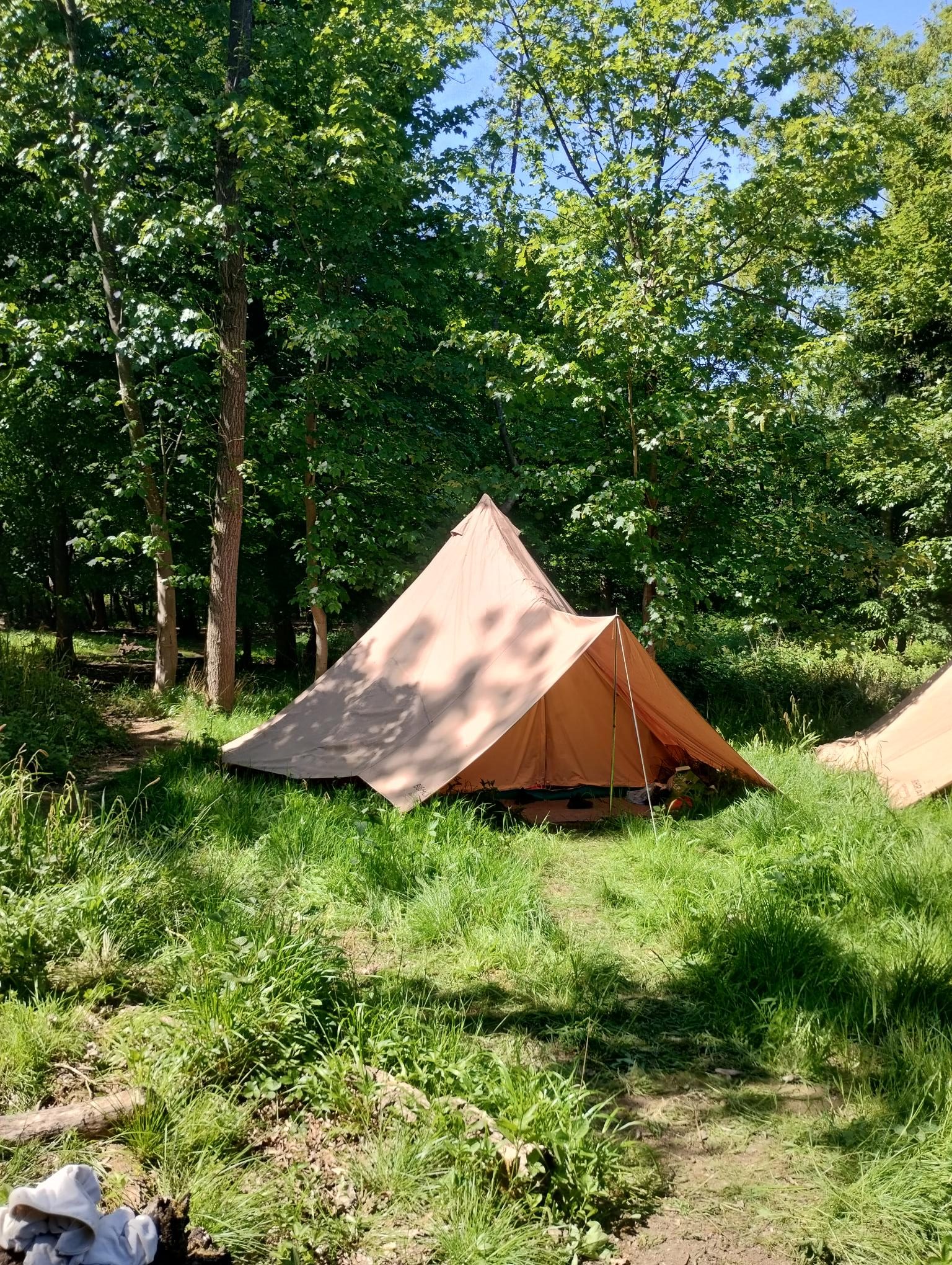 Langley Prep School Bushcraft Trip In Northamptonshire