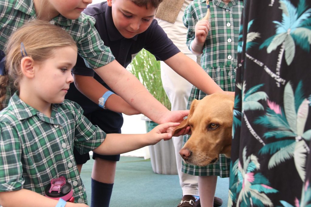 Langley School Shines at the Royal Norfolk Show